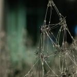 on the filaments, there where the plateau rises