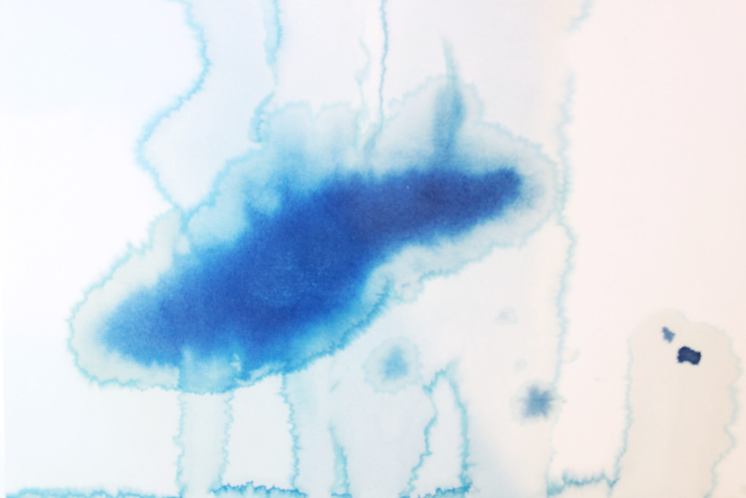 SONOIDES_S1_blueprint