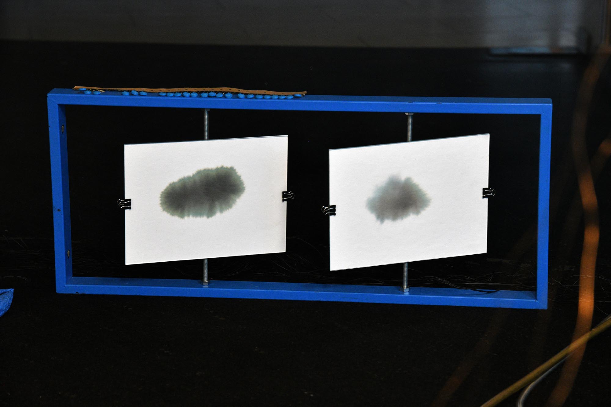 [Smart Wings] The Ultra Synesthesia (Oder) Performing White-Butterfly Flutter Transients
