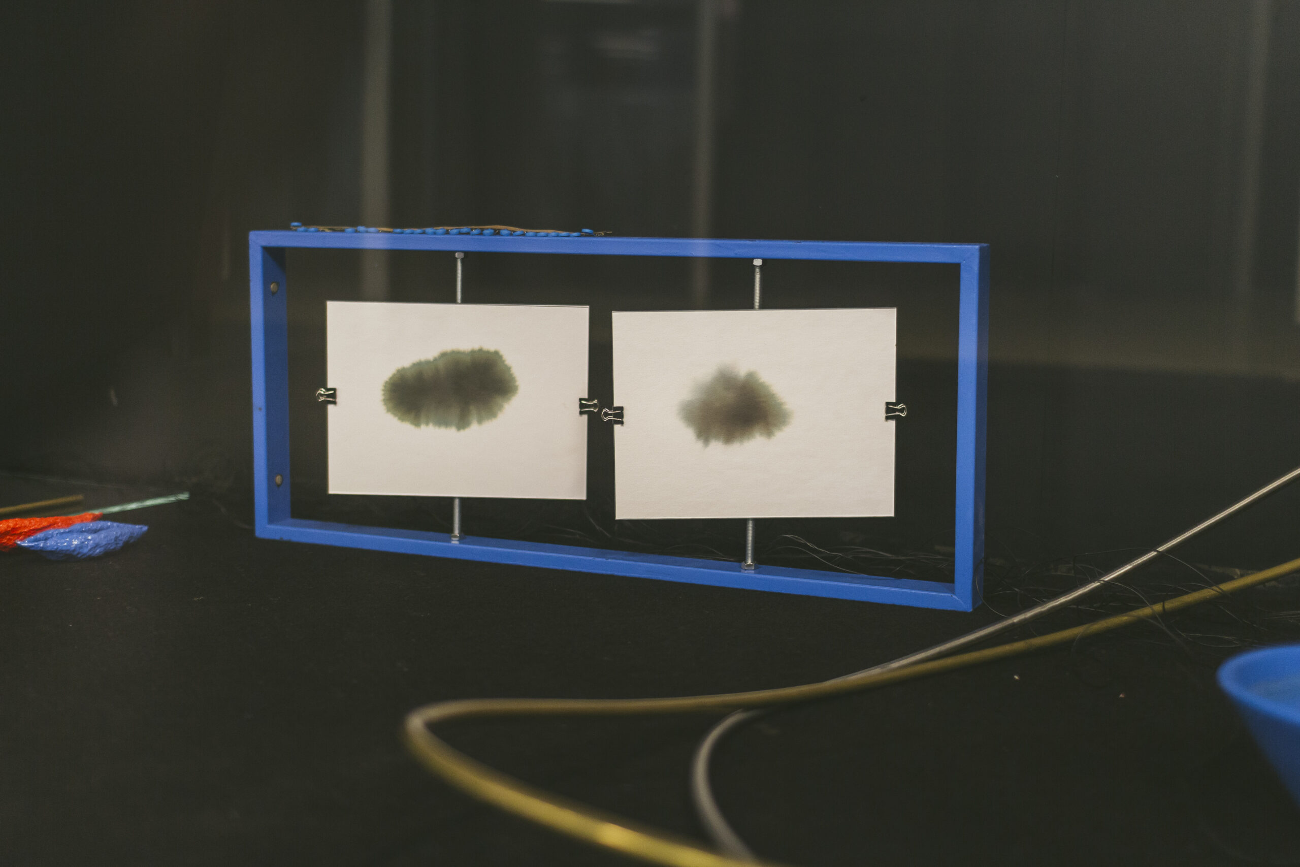 [Smart Wings] The Ultra Synesthesia (Oder) Performing White-Butterfly Flutter Transients