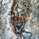 [Mergulhar] onca pintada