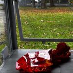 Droplets and Latitudes