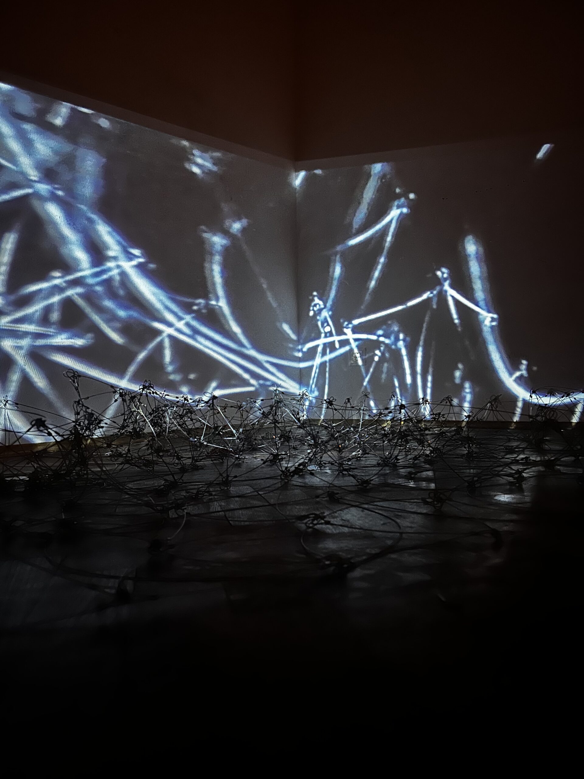 Plateaus after Plateaus – Ensemble archive