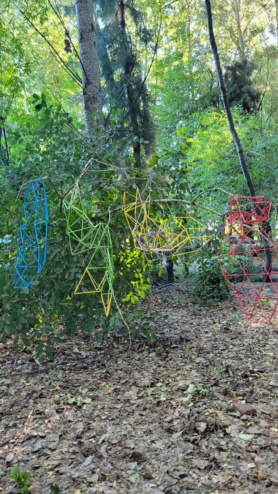 feffcd89-3633-46ef-9988-4be2fc9d7b73