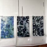 Embodied Notes 2026