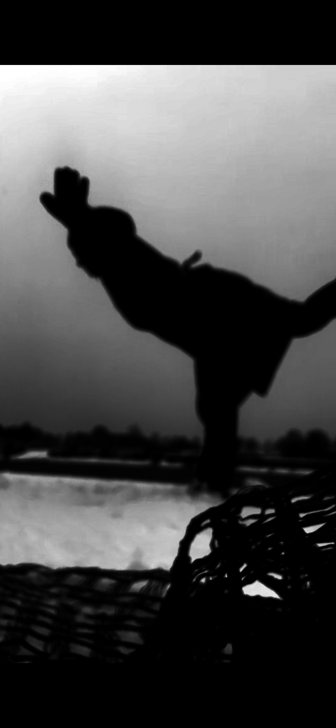 protoperfo-Snownet black and white 3